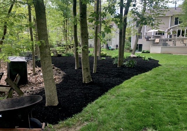 A freshly mulched, cleanly edged planting bed under mature trees, completed by Angel's Tree Removal