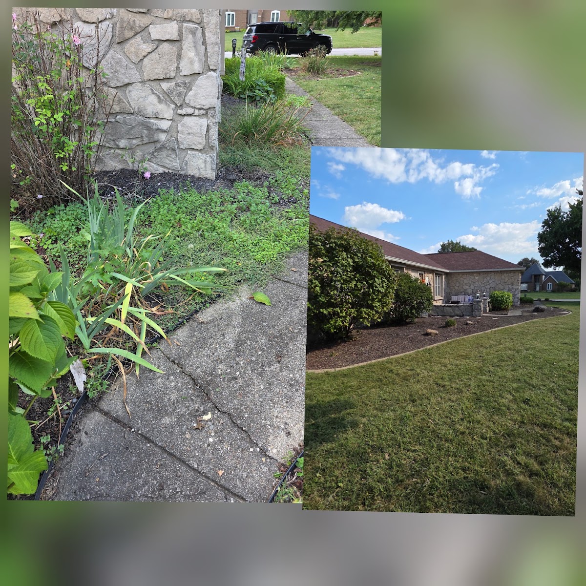 Before and after: an overgrown planting bed at a stone house corner, cleaned, weeded, and edged